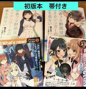 青春ブタ野郎は迷えるシンガーの夢を見ない　ナイチンゲールの夢を見ない　鴨志田一