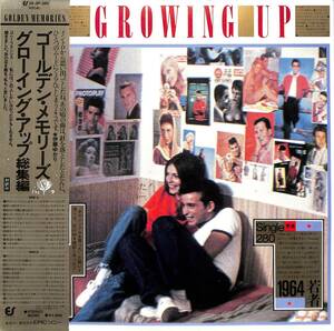 A00554370/LP/The Brothers Four / Little Richard / Paul Ankaほか「Growing Up ゴールデン・メモリーズ / グローイング・アップ総集編 