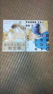 こんなはずでは＊日曜日にパウンドケーキ 2冊セット