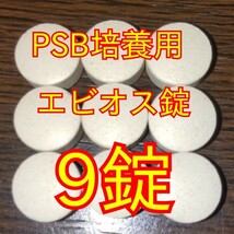 ゾウリムシ爆殖します★送料無料★自家培養★高濃度光合成細菌PSB300ml＋培養用エビオス錠９錠＃生クロレラも出品中_画像3