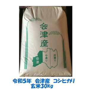 【発送は3/22以降】玄米 30kg　令和５年産 会津 コシヒカリ 大袋（精米・小分け不可）東北～関西 送料無料 石抜 色選処理済 調製玄米