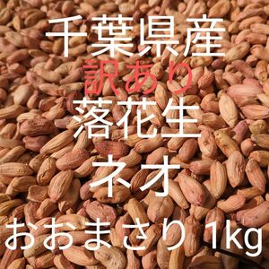 訳あり 千葉県産 県内発送 おおまさりネオ 1kg 手むき 乾燥生落花生