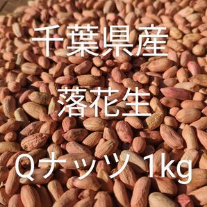 千葉県産 県内発送 Qナッツ 1kg 手むき 乾燥生落花生