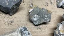 アンモナイト　化石　ノジュール　北海道産　中川 複数セット　標本　異常巻き　正常巻き　A_画像4
