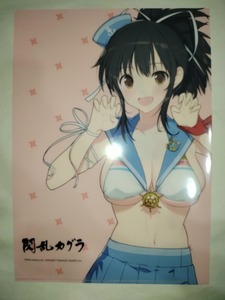 【ラスト一品】閃乱カグラ クリアファイル 飛鳥 八重樫南