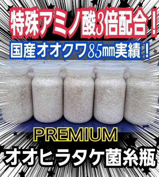 極上☆特殊アミノ酸配合!オオヒラタケ菌糸ボトル【6本】1100ml☆初菌のみで作成☆トレハロース、ローヤルゼリー強化!ギネス級狙えます!