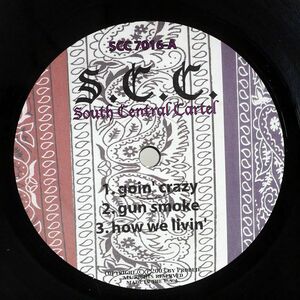 SOUTH CENTRAL CARTEL/GOIN’ CRAZY/PRODEJE SCC7016 12