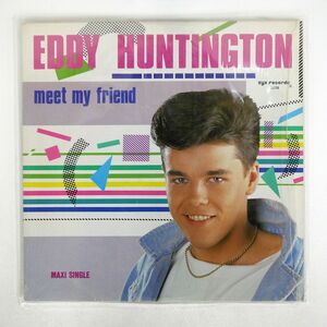 米 EDDY HUNTINGTON/MEET MY FRIEND/ZYX ZYX5688 12