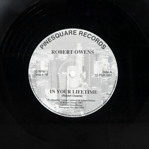 ROBERT OWENS/IN YOUR LIFETIME PARADISE LET ME/PINESQUARE 12PSR501 12