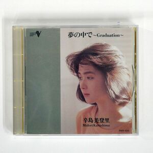 辛島美登里/夢の中で/VIDEO SINGLE DISC FHFF11015 CD □