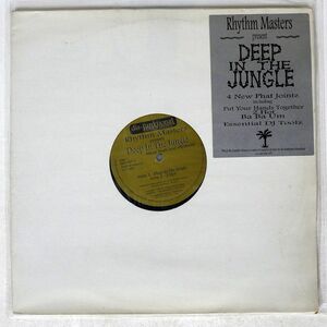 RHYTHM MASTERS/DEEP IN THE JUNGLE (DEEP BEATS & RHYTHMS)/DIS-FUNKTIONAL DFUN 007 12