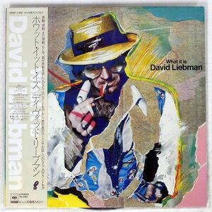 帯付き DAVID LIEBMAN/WHAT IT IS/OPENSKYE 25AP1765 LP