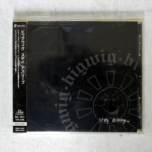 BIGWIG/STAY ASLEEP/KUNG FU RECORDS TCK-1006 CD □