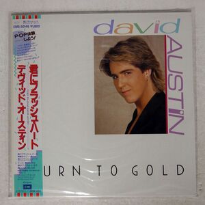 帯付き DAVID AUSTIN/TURN TO GOLD/EMI EMS50146 12