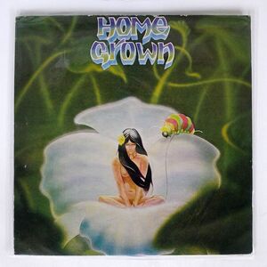 米 VA/HOME GROWN/KKUA RECORDS NONE LP