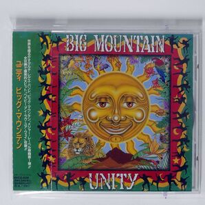 BIG MOUNTAIN/UNITY/GIANT RECORDS BVCG-628 CD □の画像1