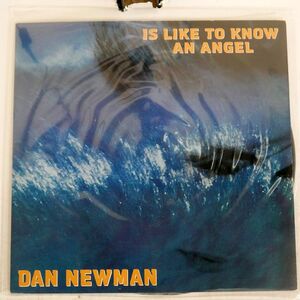 DAN NEWMAN/IS LIKE TO KNOW AN ANGEL/FINZY FZR008 12