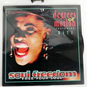 DEGREES OF MOTION/SOUL FREEDOM (FREE YOUR SOUL)/FFRR FX201 12の画像1