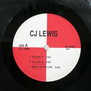 VA(CJ LEWIS)/UNTITLED/NOT ON LABEL DJ035T 12