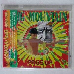 BIG MOUNTAIN/FREE UP/GIANT BVCG701 CD □