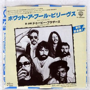 DOOBIE BROTHERS/WHAT A FOOL BELIEVES / STEAMER LANE BREAKDOWN/WARNER BROS. P363W 7 □の画像1