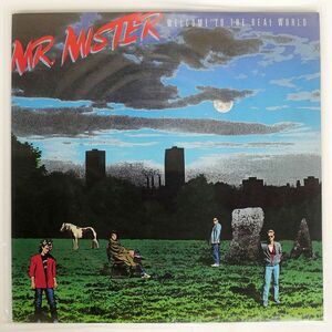 米 MR.MISTER/WELCOME TO THE REAL WORLD/RCA NFL18045 LP