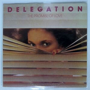 米 DELEGATION/PROMISE OF LOVE/SAHDYBROOK SB010 LPの画像1
