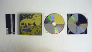 タテタカコ/敗者復活の歌/VAP VPCC 80627 CD+DVD