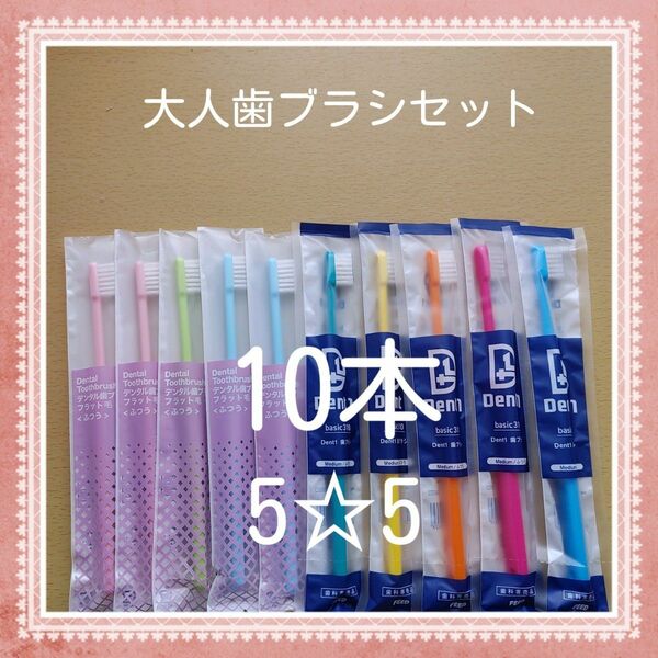 【249】歯科専売　大人歯ブラシ「ふつう10本」