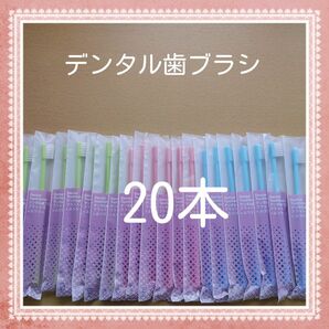 【674】歯科専売　デンタル歯ブラシ「ふつう20本」