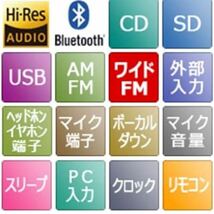 東芝 Bluetooth / SD /USB /CDラジオ TY-AH1_画像8