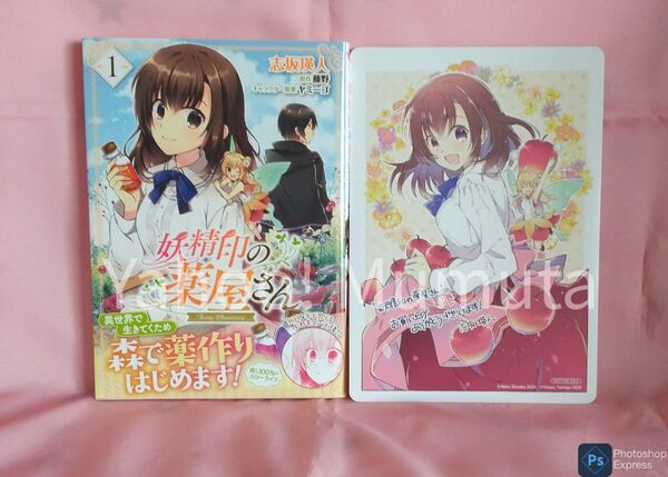 未読 初版 帯つき★妖精印の薬屋さん〈1〉+B6サイズビジュアルボード アニメイト 志坂瑛人/藤野 フロースコミック