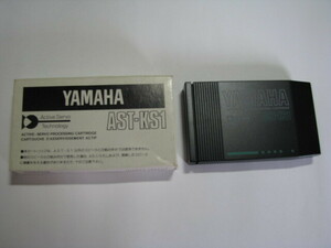 YAMAHA　AST-KS1