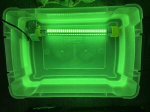 直流（１２V ６０W ） LED 水中集魚灯（緑）