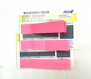 A#6126 ANA株主優待券 2枚 11月発行 (有効期限:2023/12/1～2024/11/30)　全日空