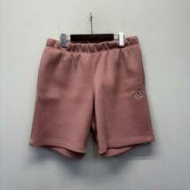 UNION × AIR JORDAN Leisure Shorts pink NIKE size L ユニオン エアジョーダン レジャーショーツ ハーフパンツ ショートパンツ ピンク_画像2