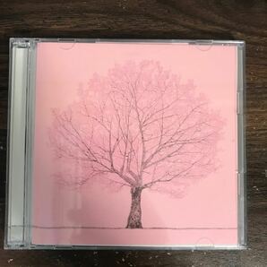 (B494)帯付 中古CD100円 コブクロ 桜(初回予約限定盤)(DVD付)の画像1