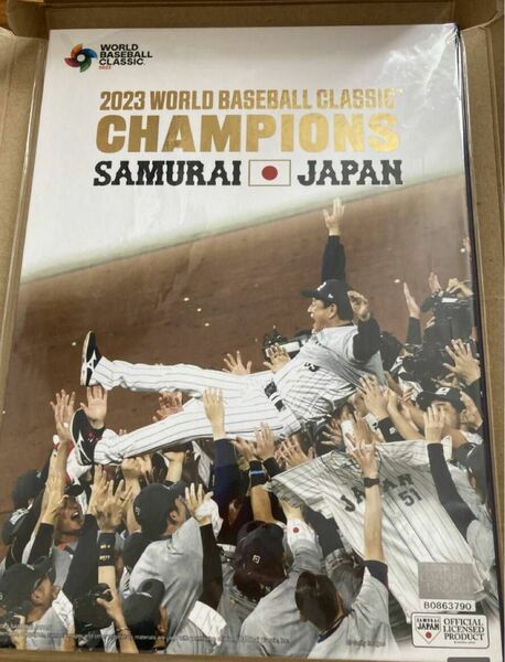 2023WBC 侍ジャパン 優勝記念フレーム　ポストカード　切手なし