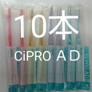 10本CiPRO AD歯ブラシ　 フラット毛ふつう（やわらかめ在庫少）