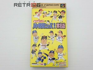 はた山ハッチのパロ野球ニュース！実名版 スーパーファミコン SFC スーファミ