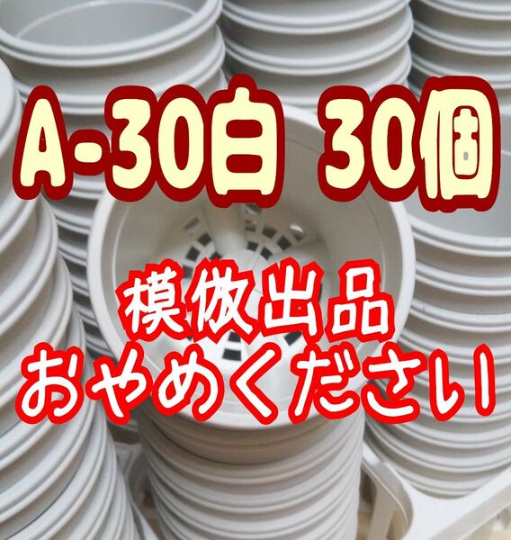 《A-30》白30個 プラ鉢 3号相当 スリット鉢 多肉植物 プレステラ 植木鉢