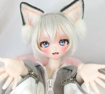 *あさぎ堂* DDH-10 カスタムヘッド アイ2種と舌パーツおまけ ソフビ盛の難あり セミホワイト肌 ドルフィードリーム_画像1