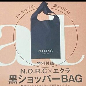 N.O.R.C☆肩かけOK☆黒ショッパーBAG☆eclat☆未使用