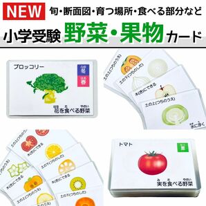 野菜・果物カード　小学校受験教材　理科的常識　幼児教育　知育カード　断面図　旬の季節