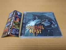 スラッシュメタル　SENTINEL BEAST/UP FROM THE ASHES 2010年　オリジナル盤_画像1