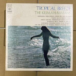 THE KILIMA HAWAIIANS-TROPICAL BREEZE LP ／1916の画像1