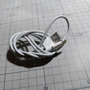 充電ケーブル Apple iPhone 4