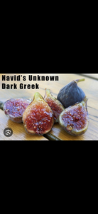 Navid’s Unknown Dark Greek 