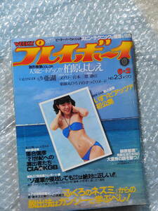 週刊プレイボーイ　1981.6.2 柏原芳恵 15歳/亜湖/登静江/桑田佳祐/RCサクセション/メアリー岩本/榊原郁恵/豊島ひとみ