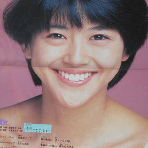 DUNK ダンク 1985年 岡田有希子 おニャン子クラブ 中山美穂 中森明菜 芳本美代子 長山洋子斉藤由貴 本田美奈子 堀ちえみの画像5